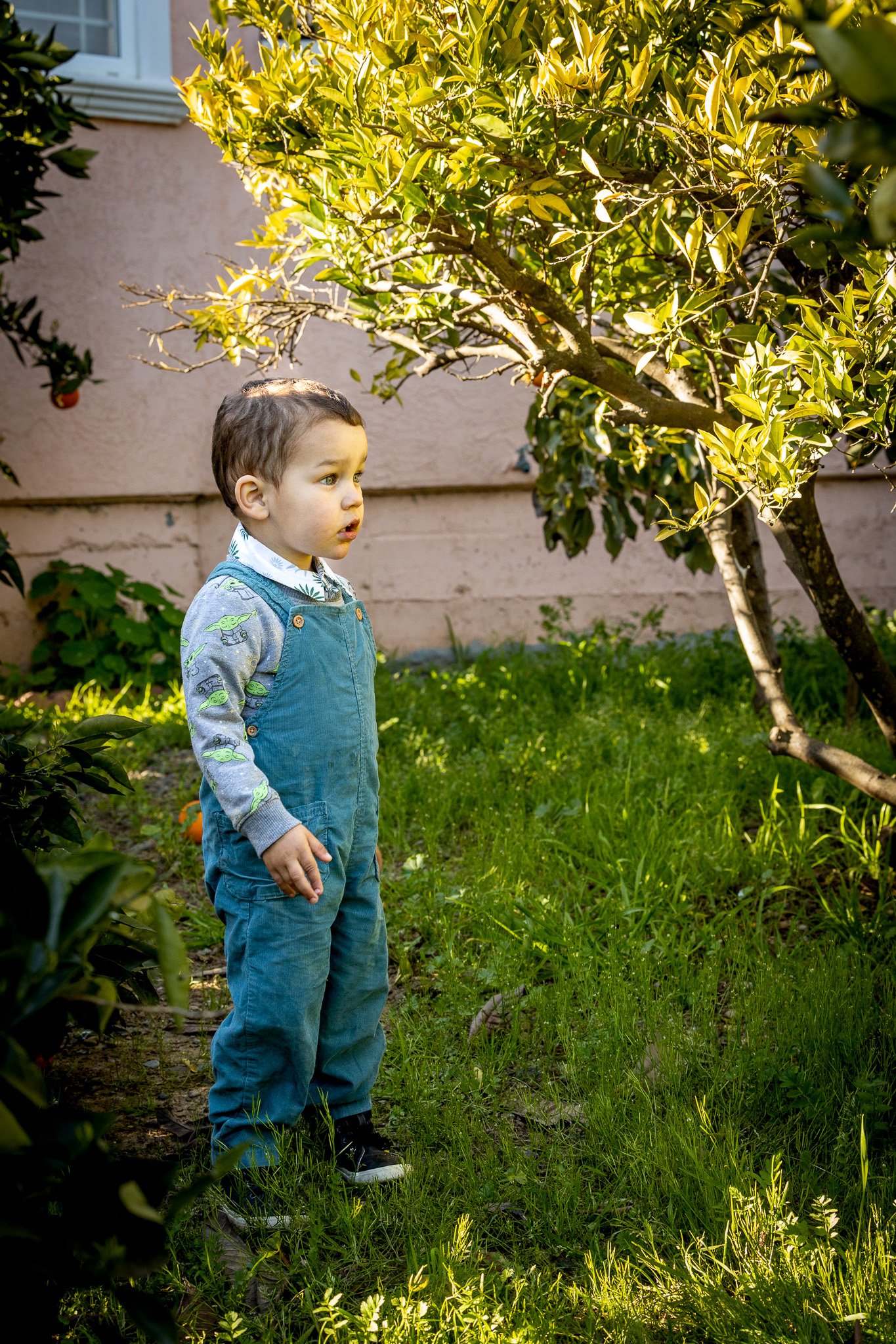 Family Portraits photo 10