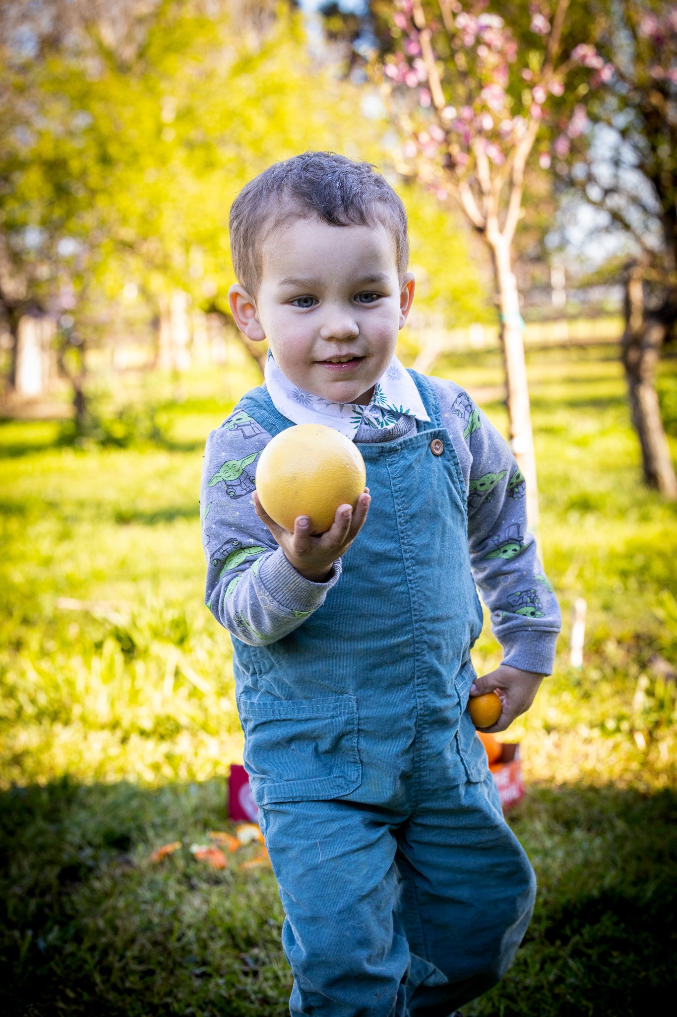 Family Portraits photo 11