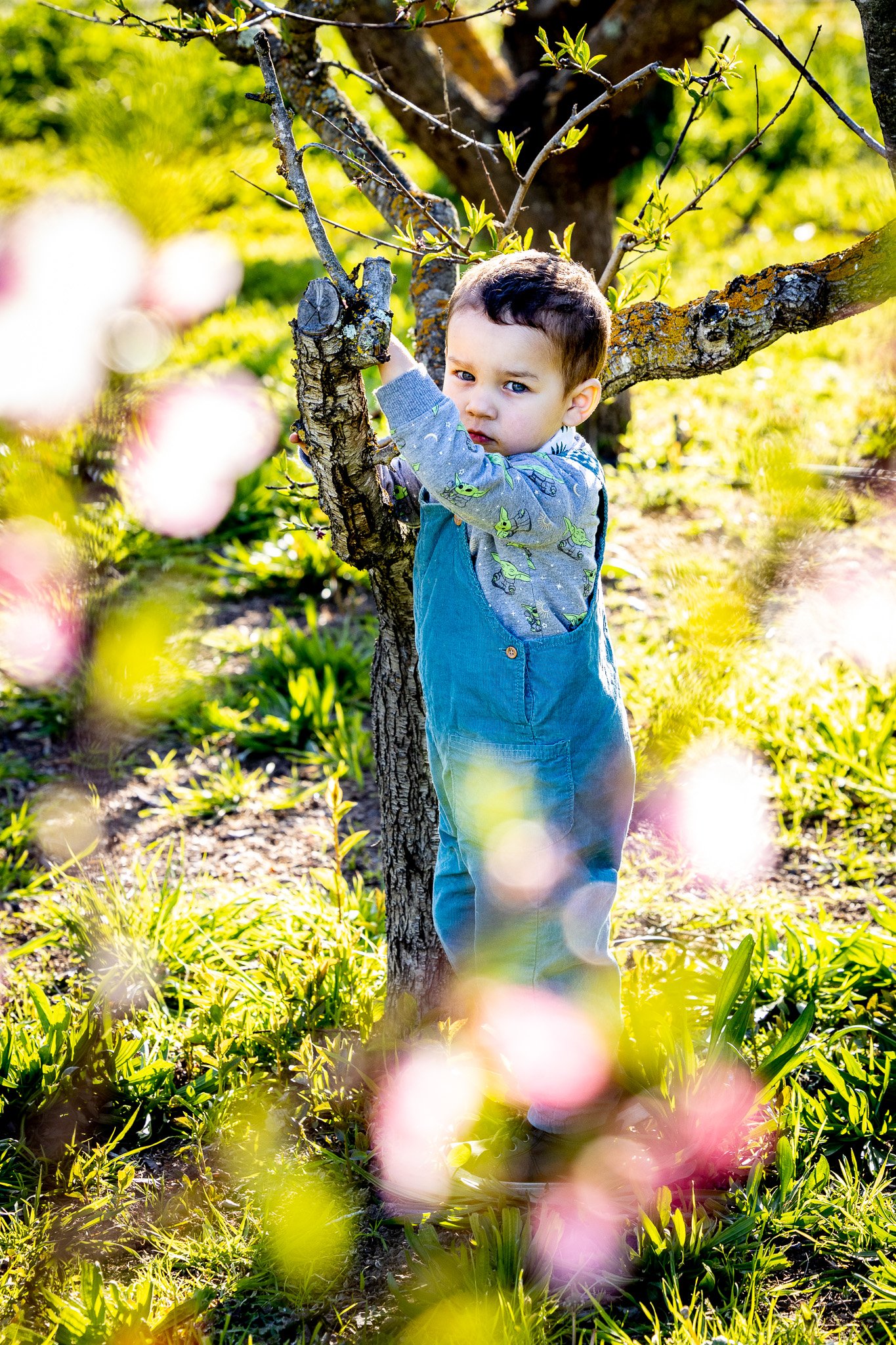 Family Portraits photo 15